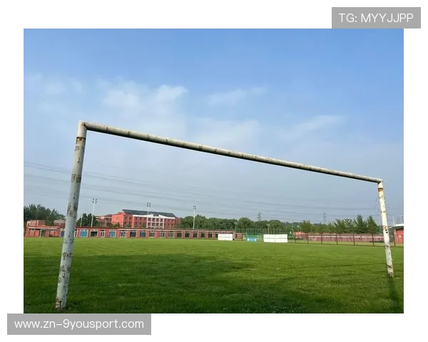 草地保养技术升级，比赛场地质量显著提高，草地养护有几个重要环节