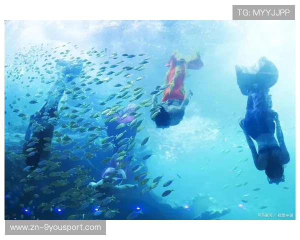 水下浮潜体验活动,探索海底世界奇观,海底世界潜水视频